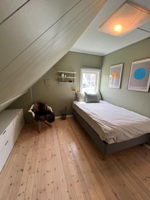 3 Bedroom Full House - Close To Ons & Centrum Villaer Stavanger